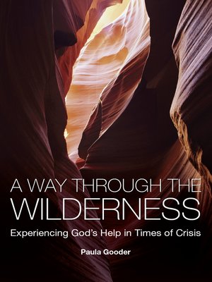cover image of A Way Through the Wilderness